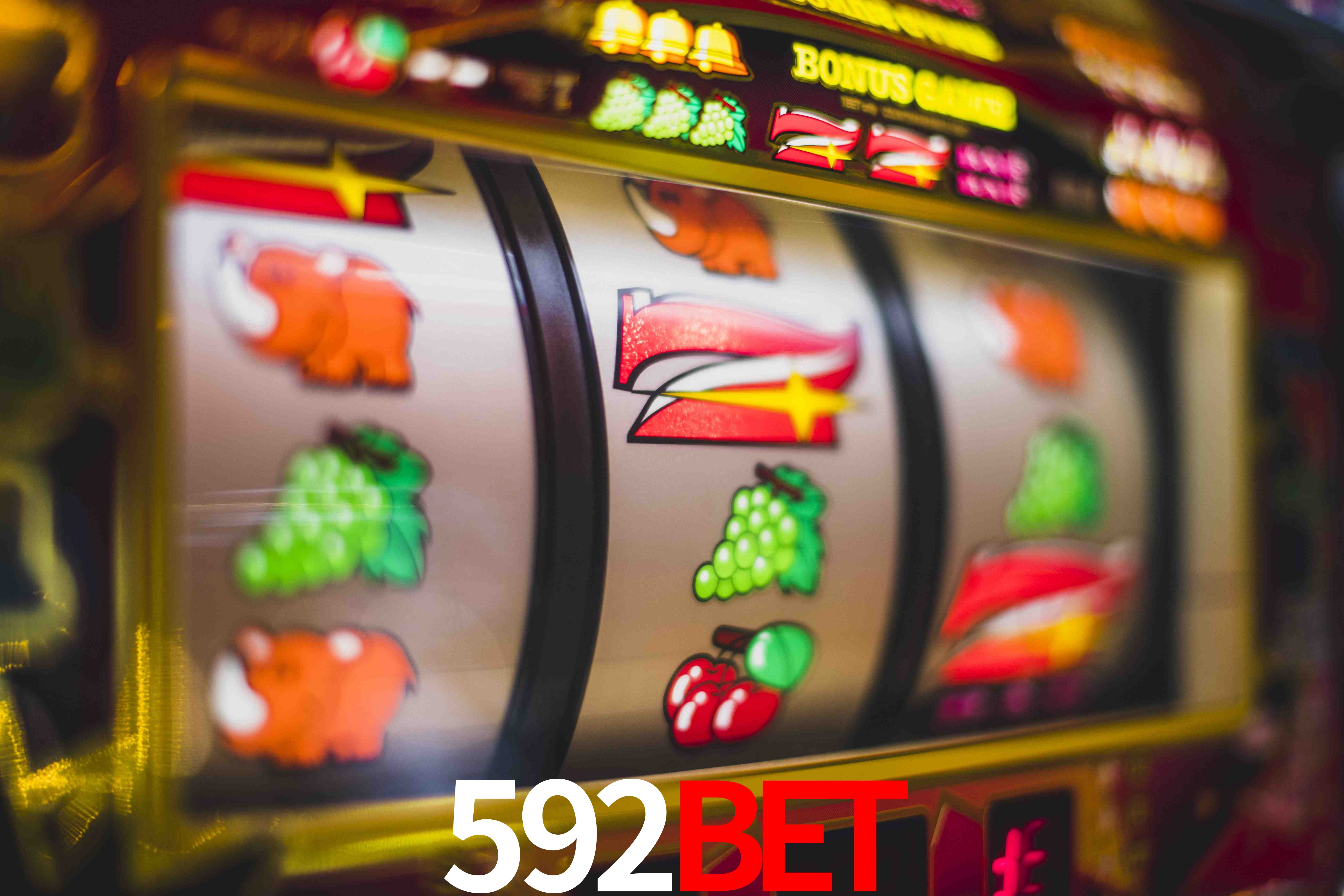 Experiência VIP 592BET